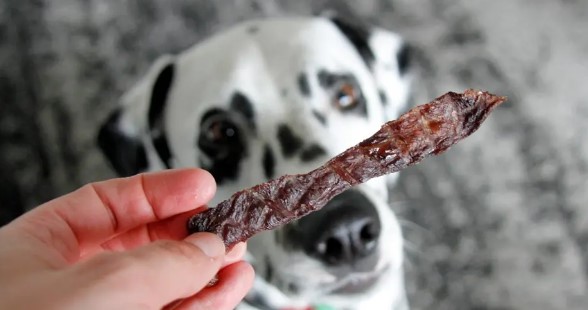 Can Dogs Eat Beef Jerky? - Pros & Cons